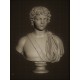 SM 59 Busto di Caracalla giovane  h. cm. 13