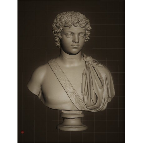 SM 59 Busto di Caracalla giovane  h. cm. 13