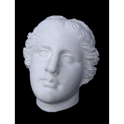 LM 47 Masque de Vénus de Milo h. cm. 26x24