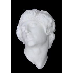 LM 60 Masque Esclave mourant par Michel-Ange h. cm. 38x30