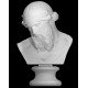 LB 237 Busto Dionysus h. cm. 61