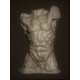 RID 104 Torso Uomo - Museo Rodin h. cm. 50