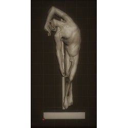 RID 107 Anatomia maschio h. cm. 50