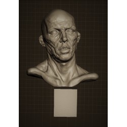 LA 64 Head Studio 2 h. cm. 50