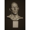 LA 64 Head Studio 2 h. cm. 50