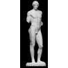LS 460 Apollo of Omphalos (Musei Capitolini - Roma) h. cm. 198