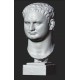 LB 463 Cabeza de Tito, emperador romano h. centímetro. 54