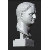 LB 463 Testa Tito Imperatore Romano h. cm. 54
