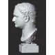 LB 463 Cabeza de Tito, emperador romano h. centímetro. 54