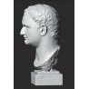 LB 463 Testa Tito Imperatore Romano h. cm. 54