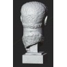 LB 463 Testa Tito Imperatore Romano h. cm. 54