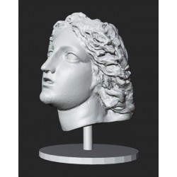 LB 424 Dyonysus head h. cm. 40