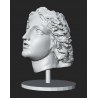 LB 424 Dyonysus head h. cm. 40