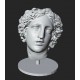 LB 424 Dyonysus head h. cm. 40