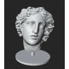 LB 424 Dyonysus head h. cm. 40
