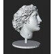 LB 424 Dyonysus head h. cm. 40