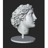 LB 424 Dyonysus head h. cm. 40