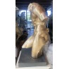 RID 131 BR Fauno danzante de torso sin cabeza h. 39 cm