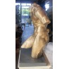 RID 131 BR Fauno danzante de torso sin cabeza h. 39 cm