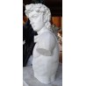 LA 24 Davide Detalle del busto h cm. 55
