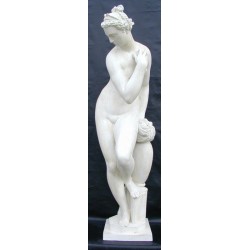 LS 114 Statua della Venere del Giambologna h. cm. 136 (Giardino di Boboli – Firenze)