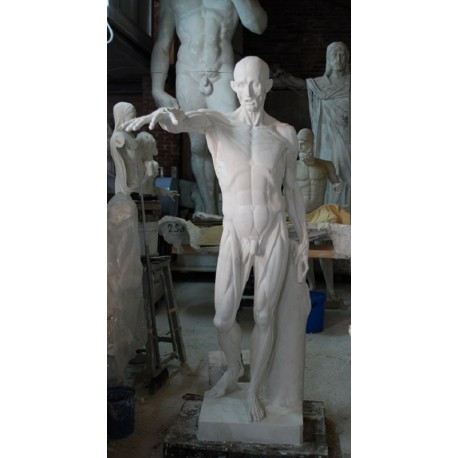 LS 260 Statua dello Scorticato di Houdon h. cm. 185