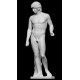 RID 26 Statua Antinoo Farnese h. cm. 70