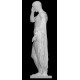 RID 39 Statua Marcellus h. cm. 70