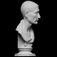 LB 291 Busto Ritratto Giulio Cesare Imperatore Romano h. cm. 50